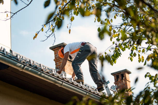 Best Metal Roofing Contractor  in Malvern, IA